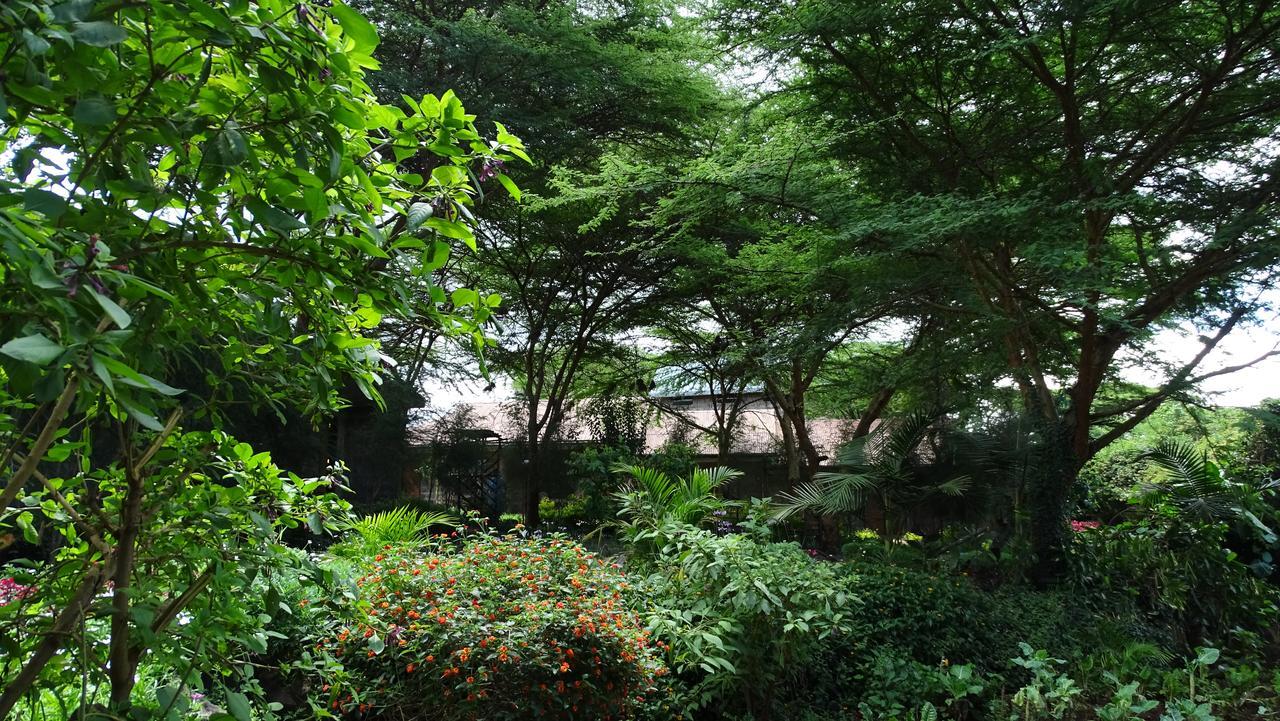 Osoita Lodge Nairobi Exterior foto